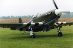 p51